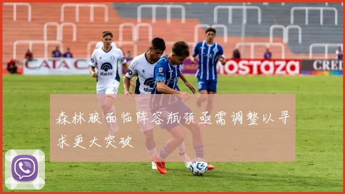 森林狼面临阵容瓶颈亟需调整以寻求更大突破