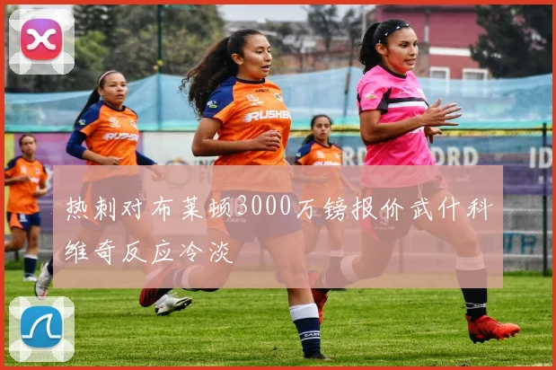 热刺对布莱顿3000万镑报价武什科维奇反应冷淡